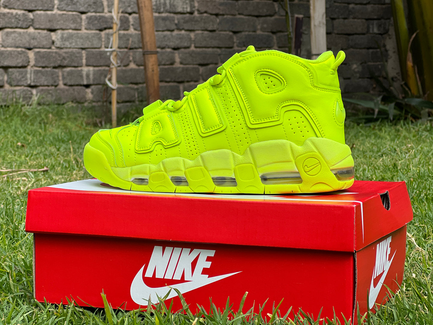 Nike Uptempo verde