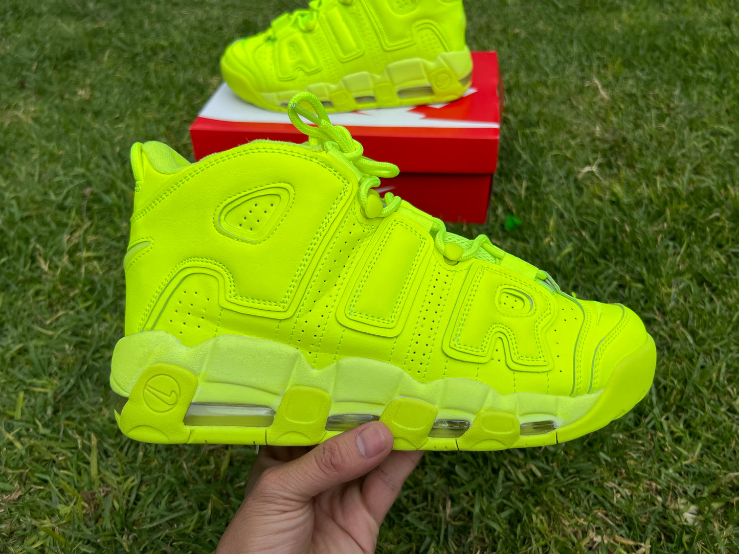 Nike Uptempo verde