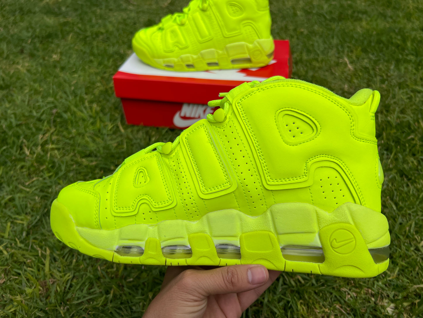 Nike Uptempo verde