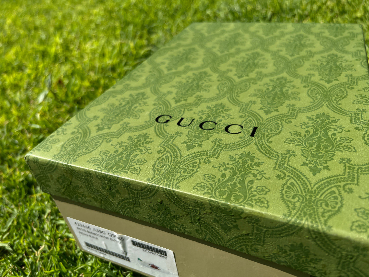 Gucci serpiente calidad G5