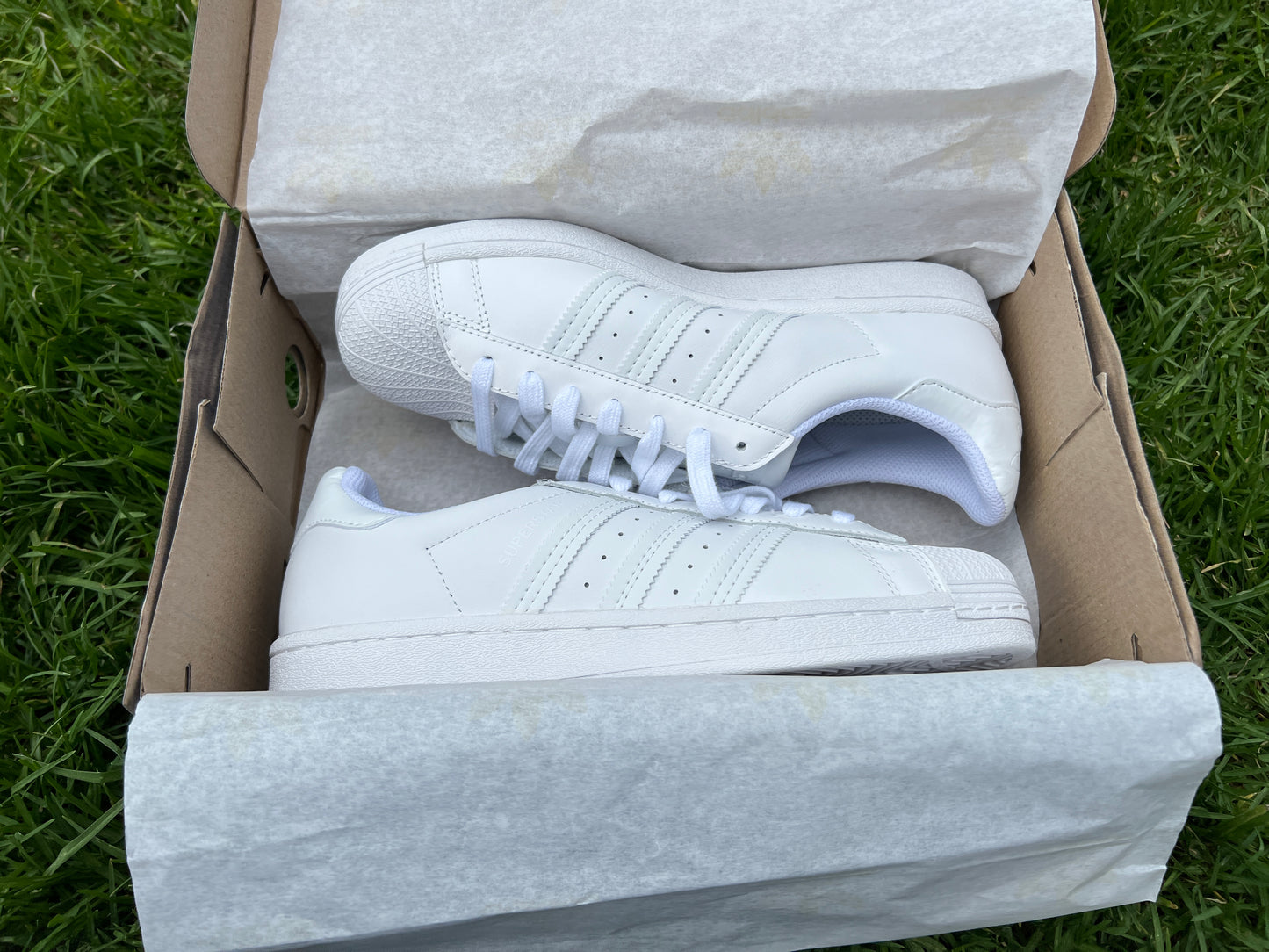 Adidas superstar blancos