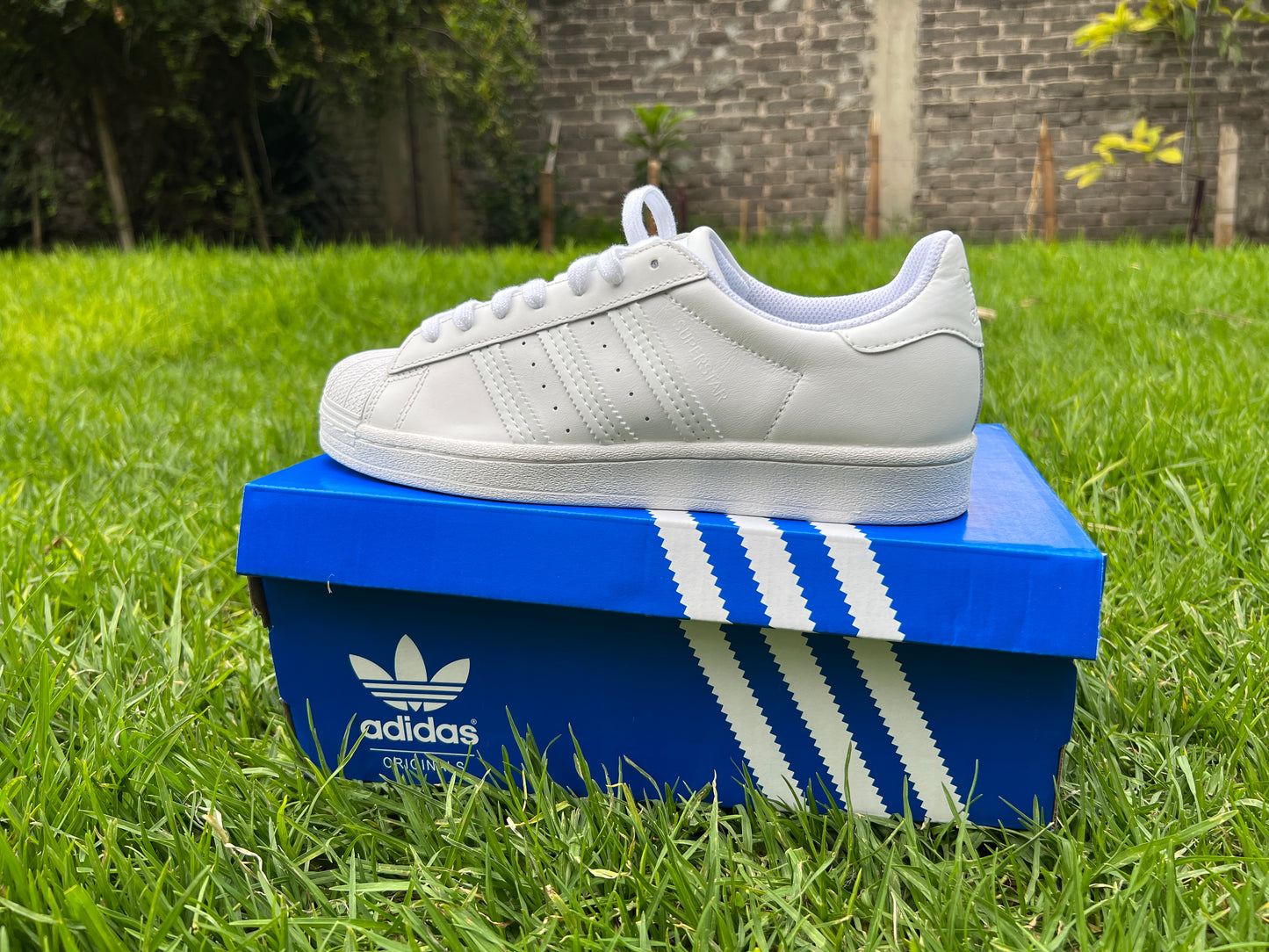 Adidas superstar blancos