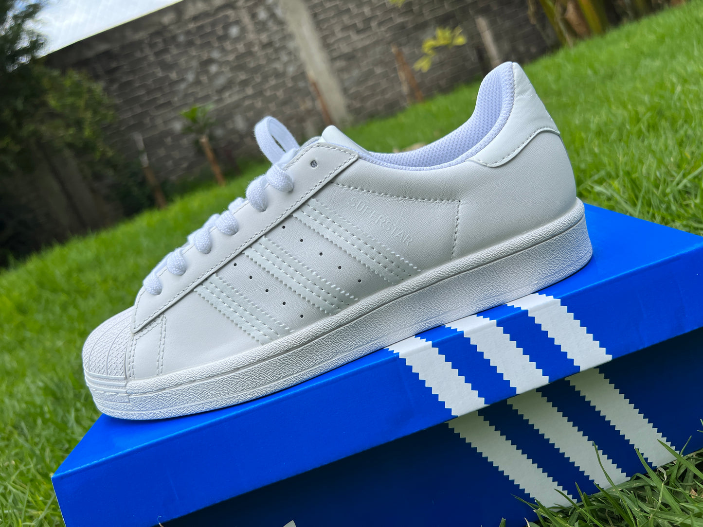 Adidas superstar blancos