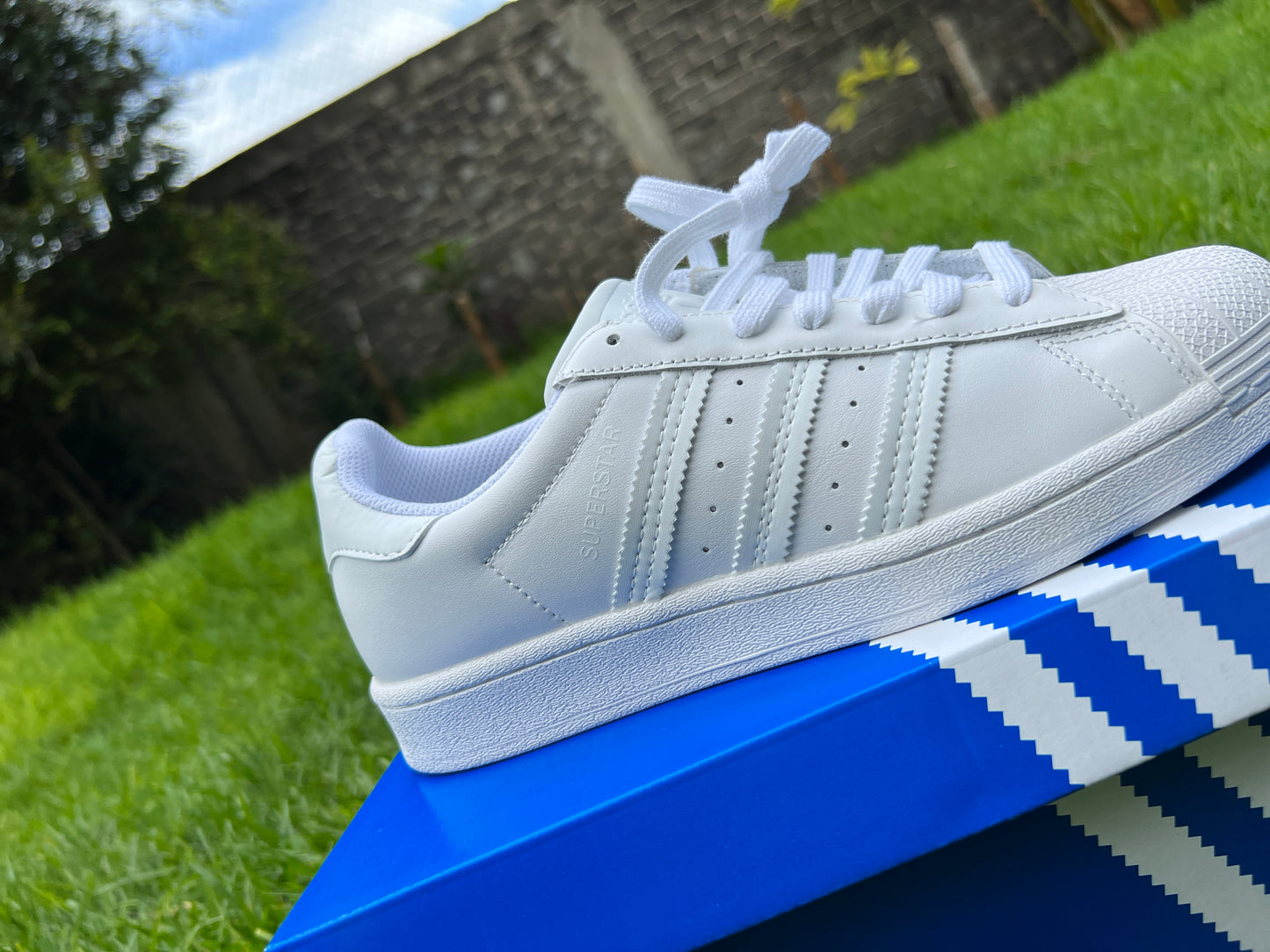 Adidas superstar blancos