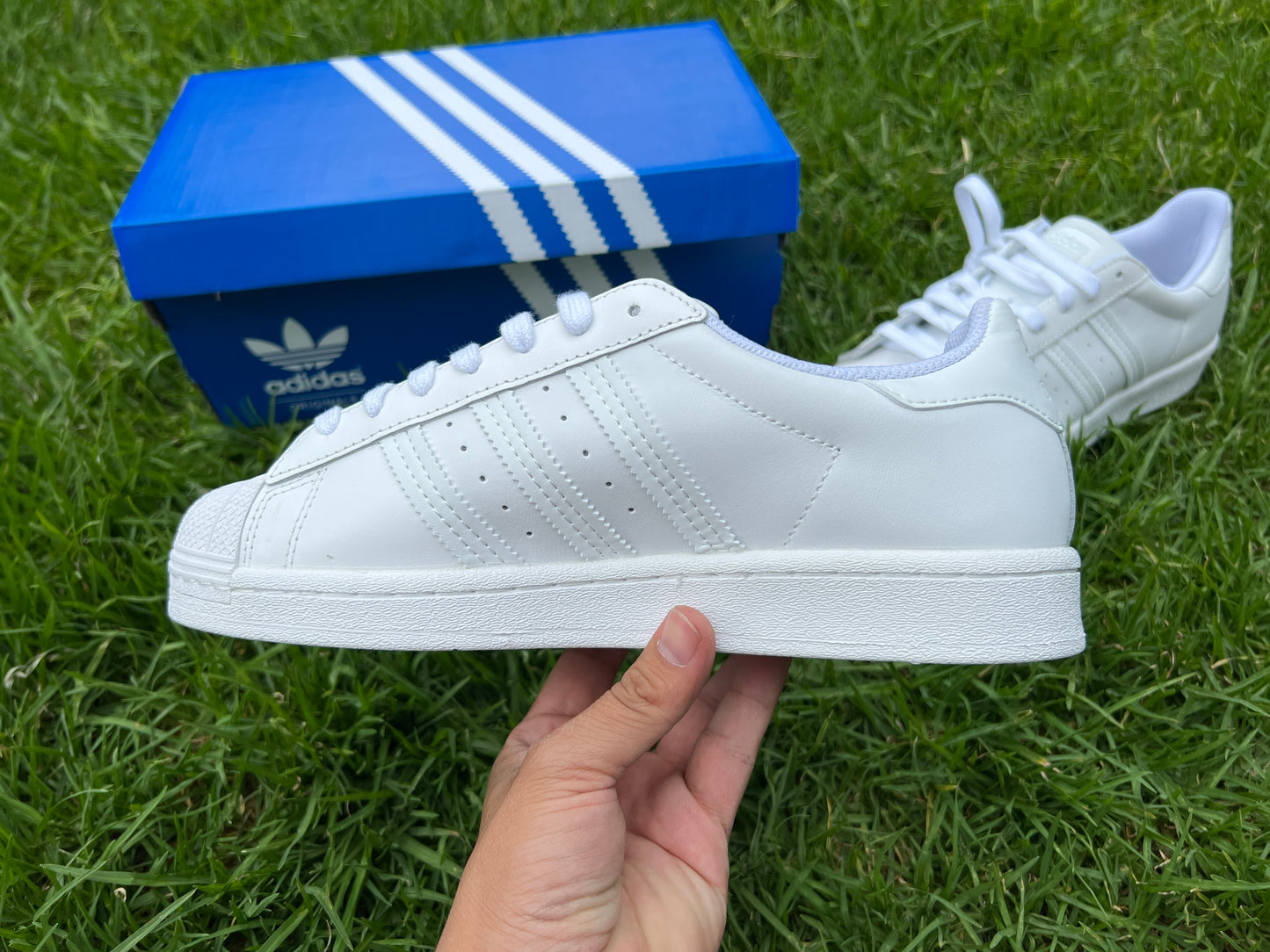 Adidas superstar blancos