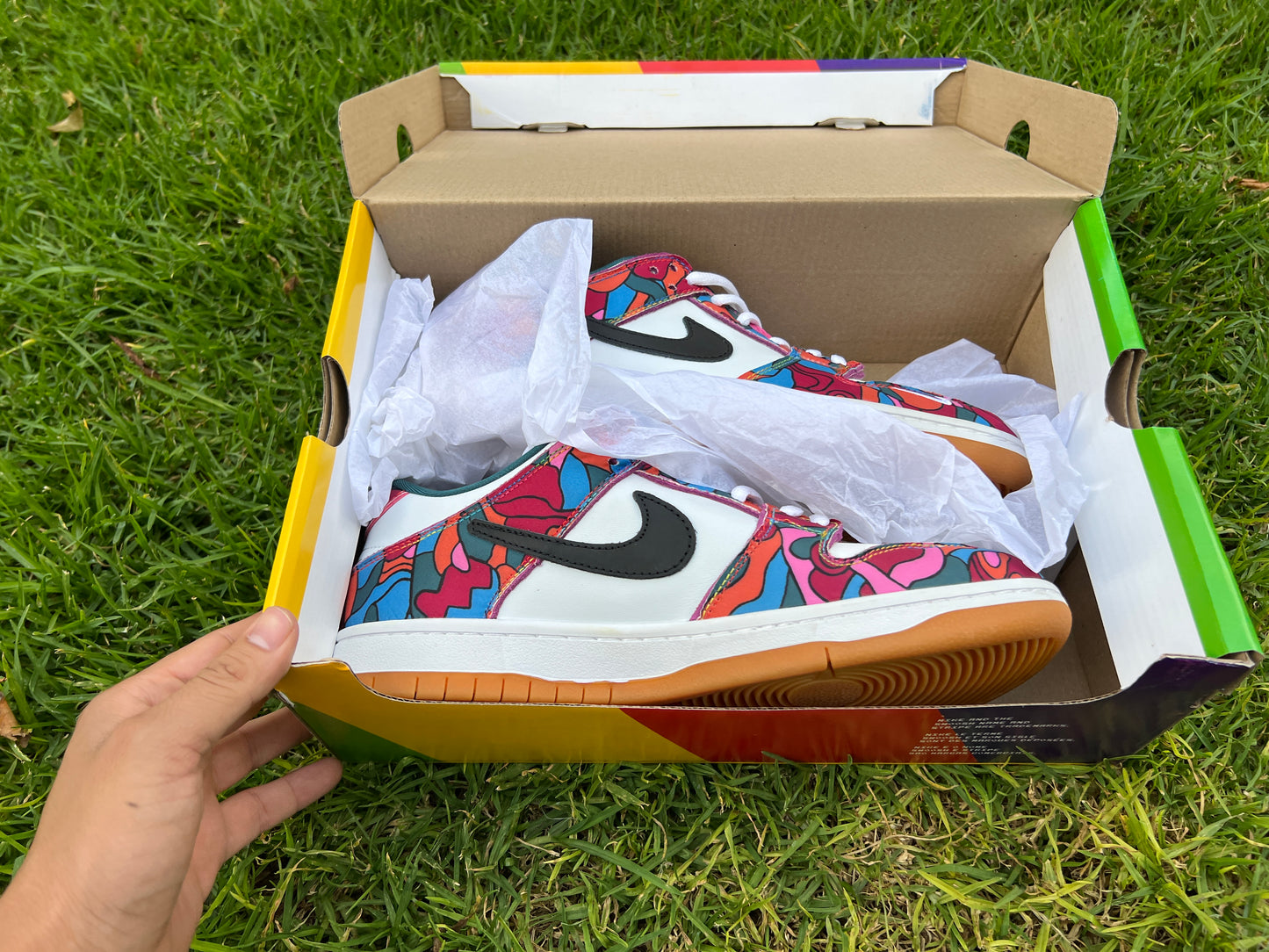 Nike SB Dunk Parra Abstract Art