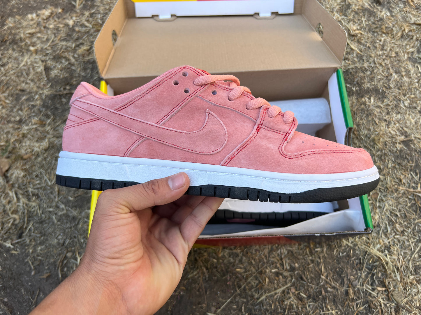 Nike SB Dunk Pink Pig