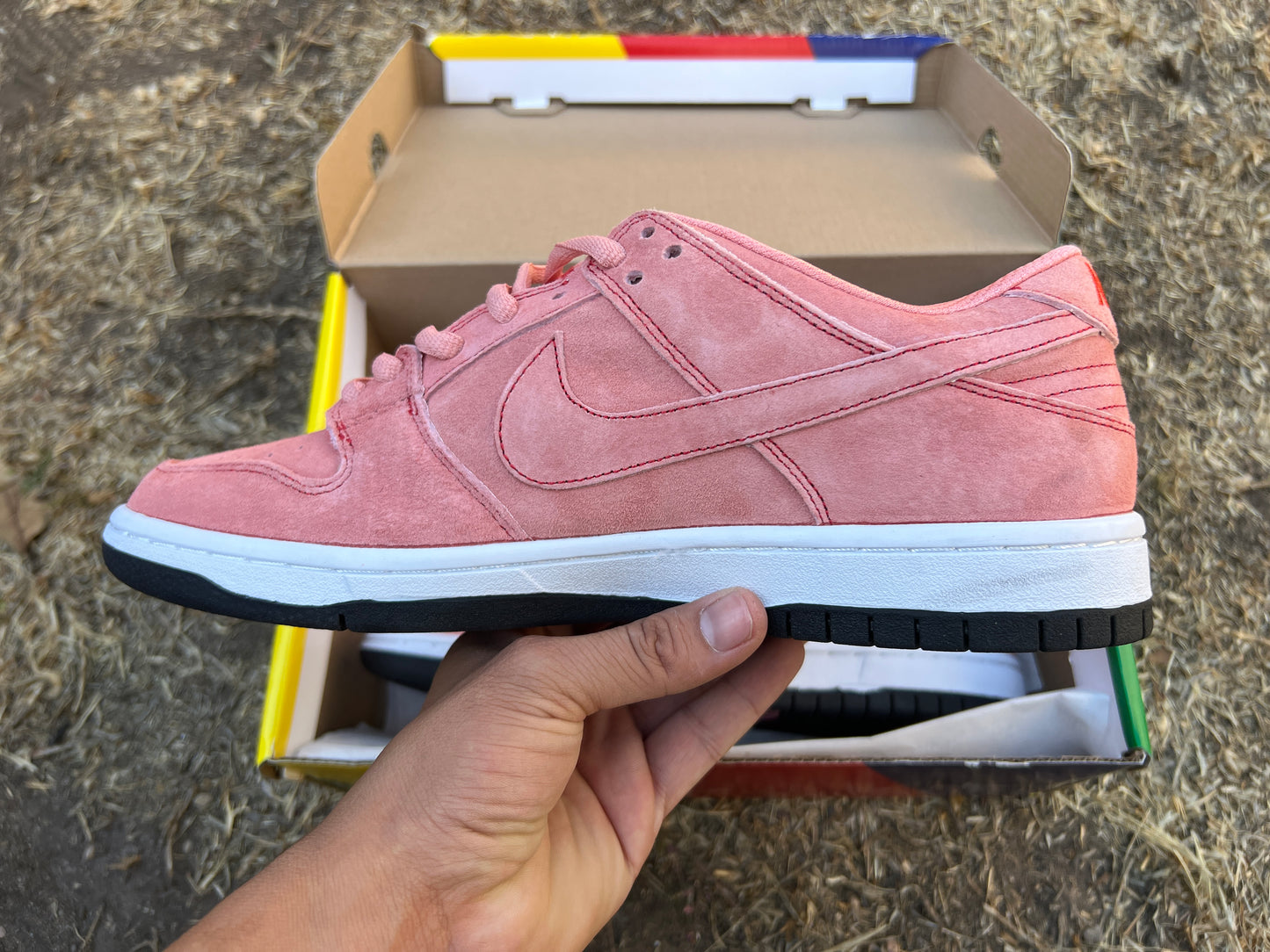 Nike SB Dunk Pink Pig