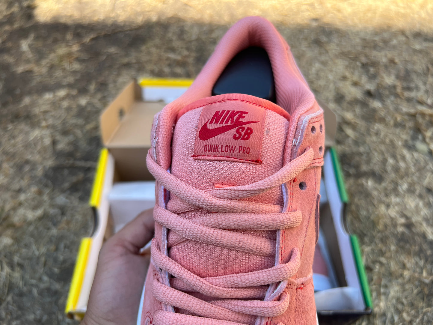 Nike SB Dunk Pink Pig