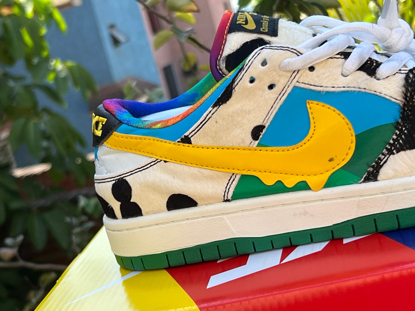 Nike SB Dunk Ben & Jerry's Chunky Dunky