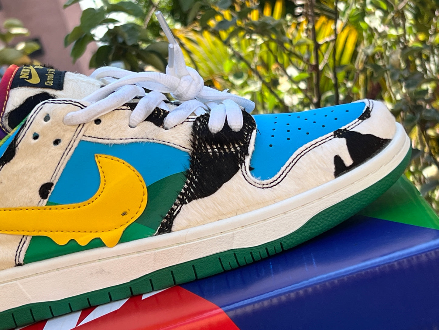 Nike SB Dunk Ben & Jerry's Chunky Dunky