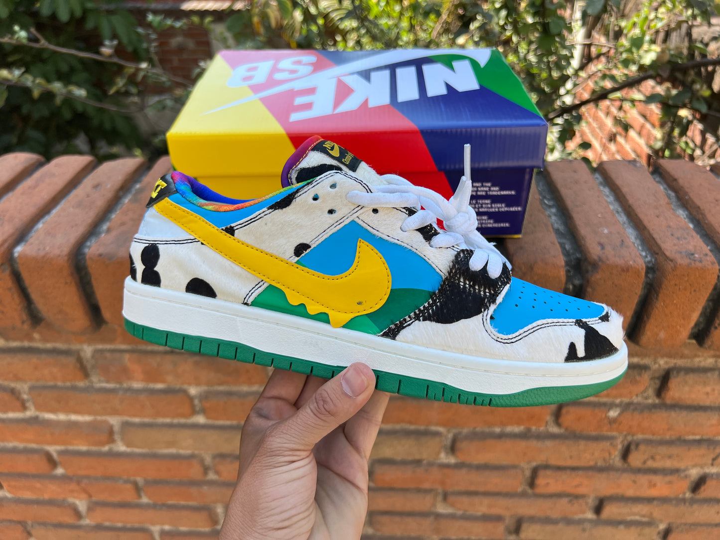 Nike SB Dunk Ben & Jerry's Chunky Dunky