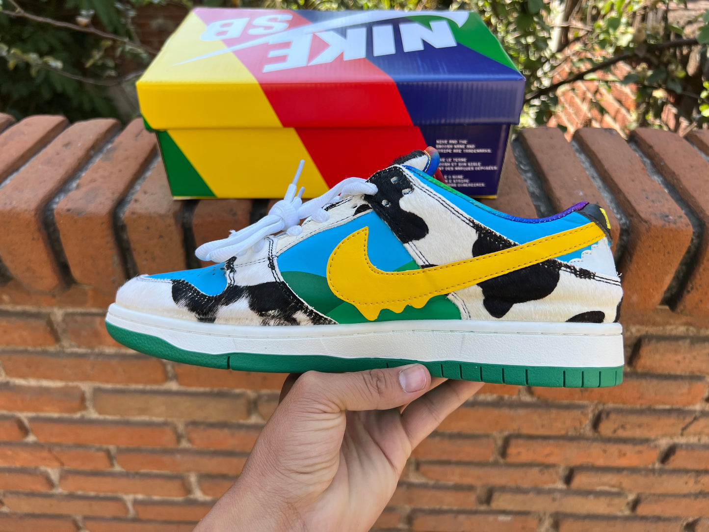 Nike SB Dunk Ben & Jerry's Chunky Dunky