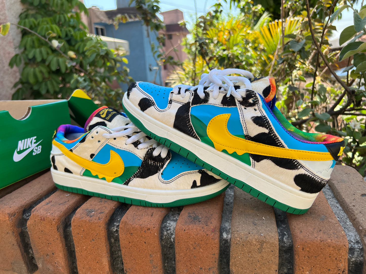 Nike SB Dunk Ben & Jerry's Chunky Dunky