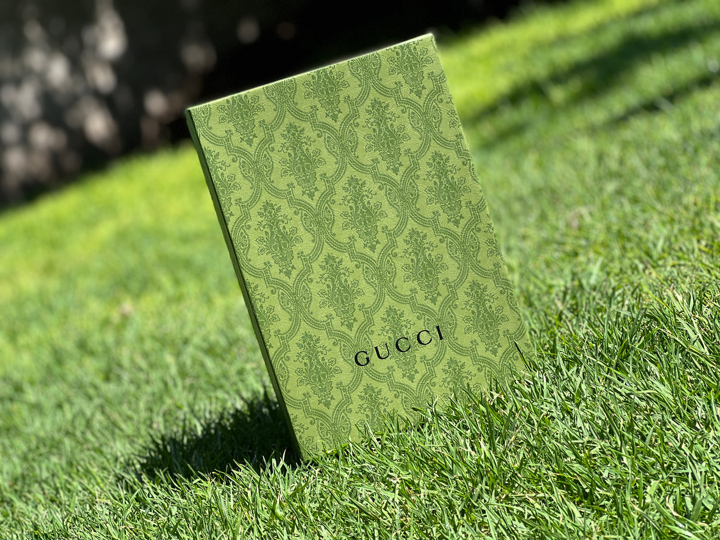 Gucci serpiente calidad G5