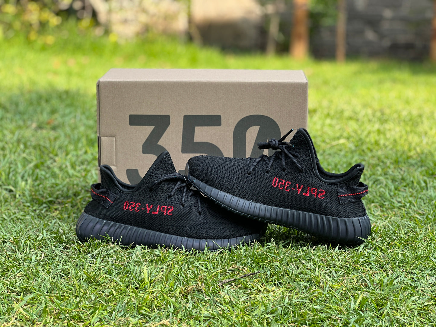 Yeezy Boost 350 V2 Black Red