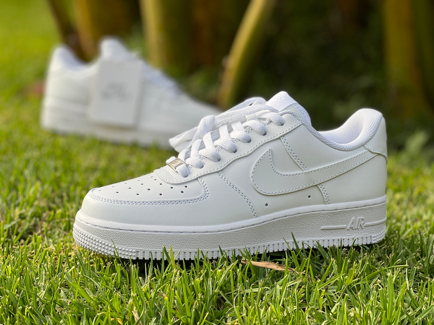 Caja con 10 Airforce 1