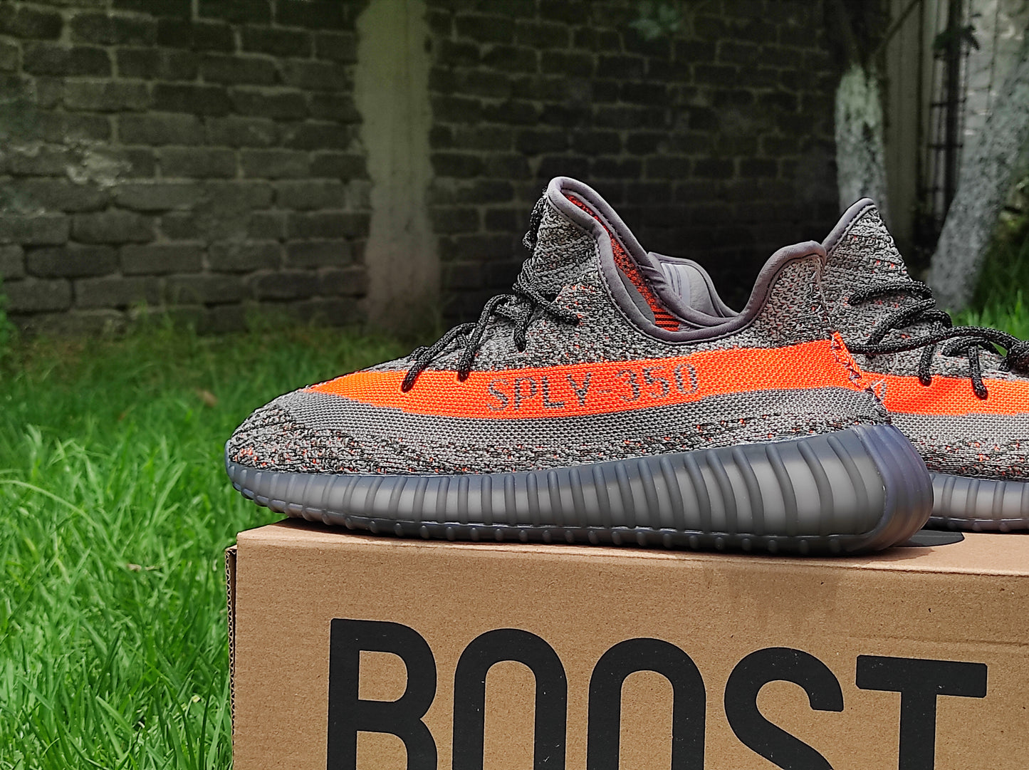 Yeezy Boost 350 (223)