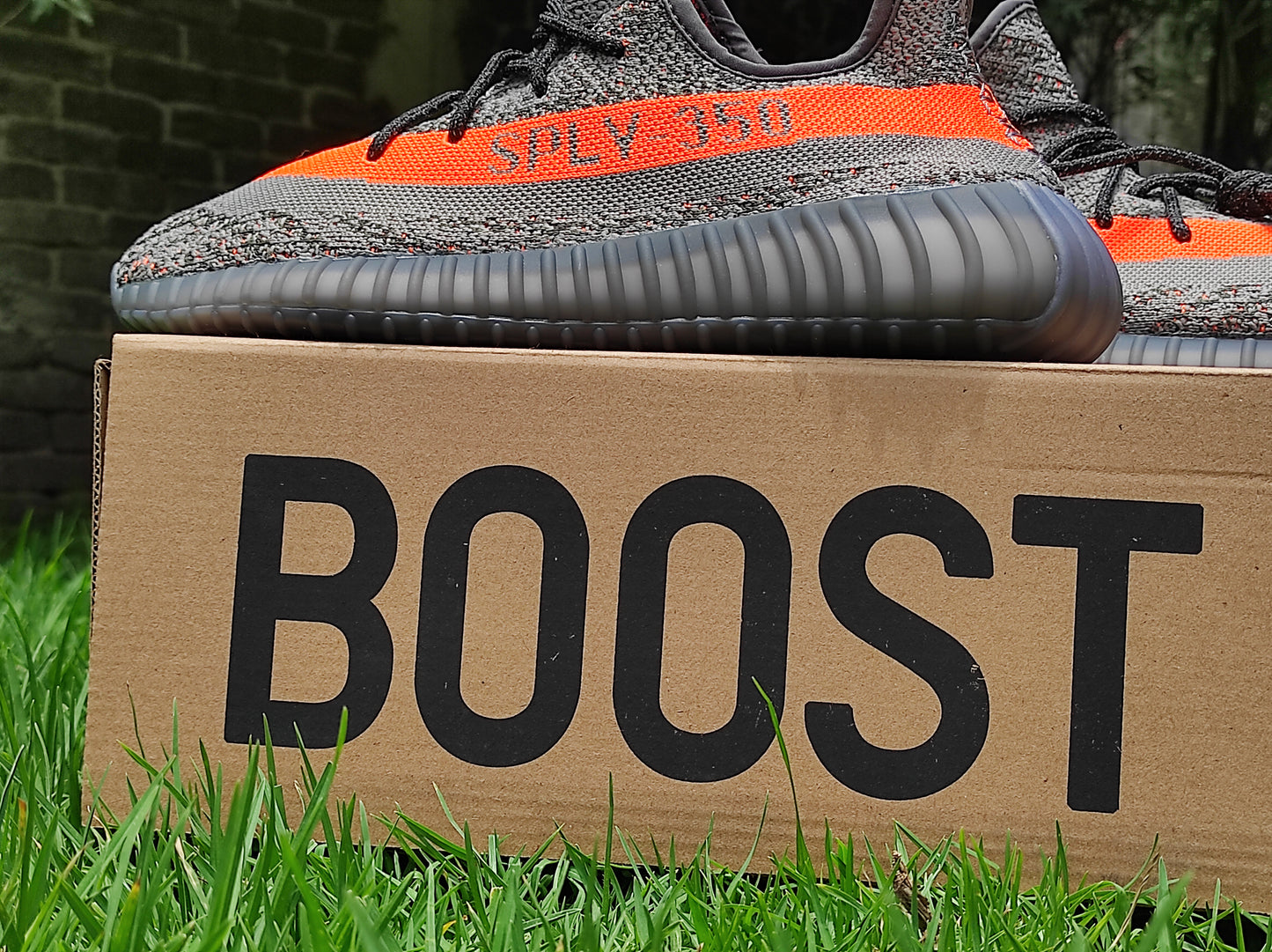 Yeezy Boost 350 (223)