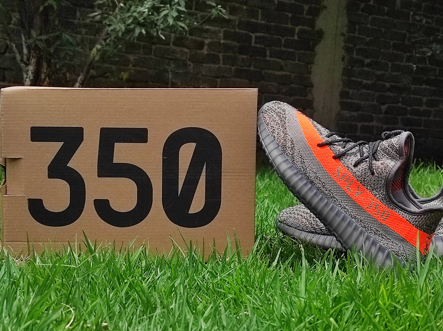 Yeezy Boost 350 (223)