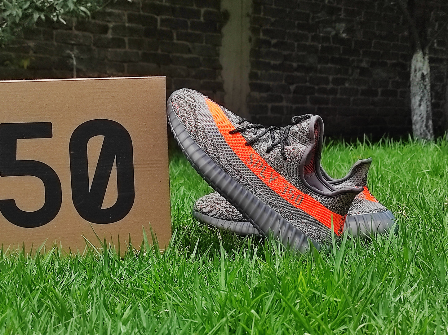 Yeezy Boost 350 (223)