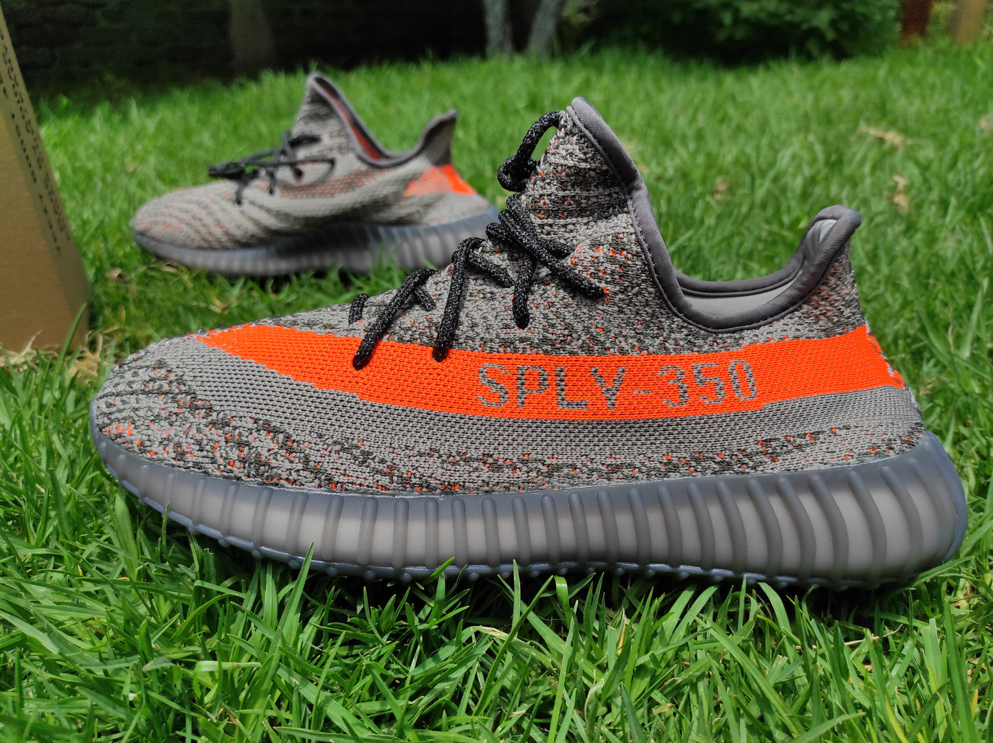 Yeezy Boost 350 (223)