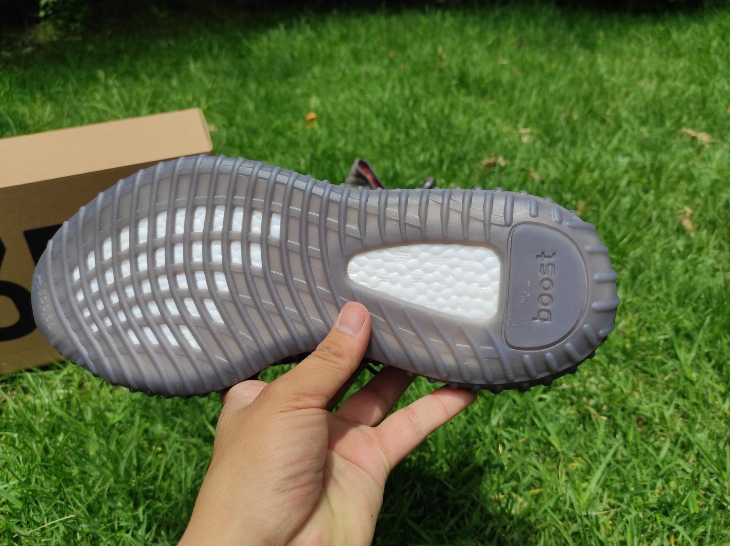 Yeezy Boost 350 (223)