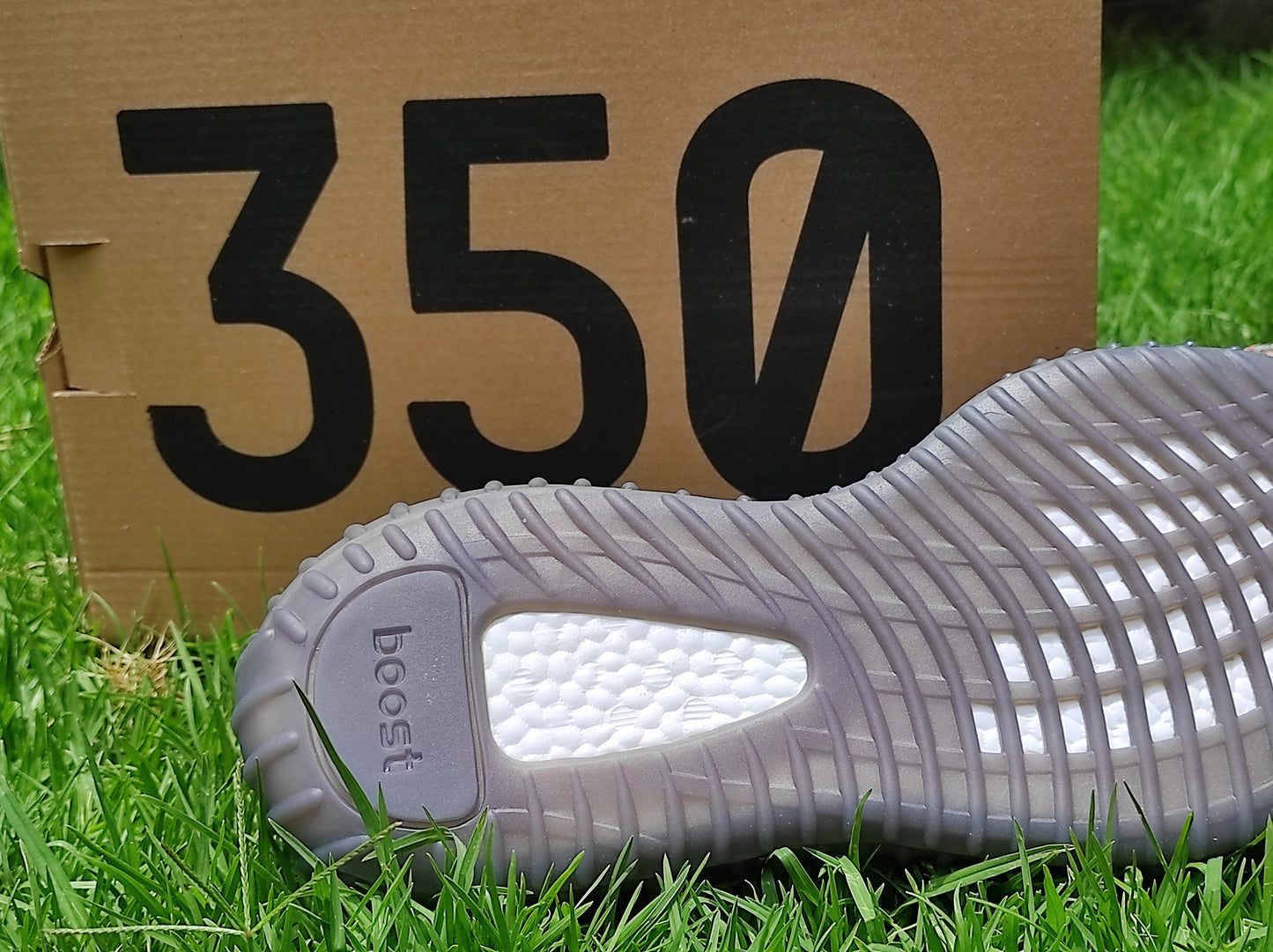 Yeezy Boost 350 (223)