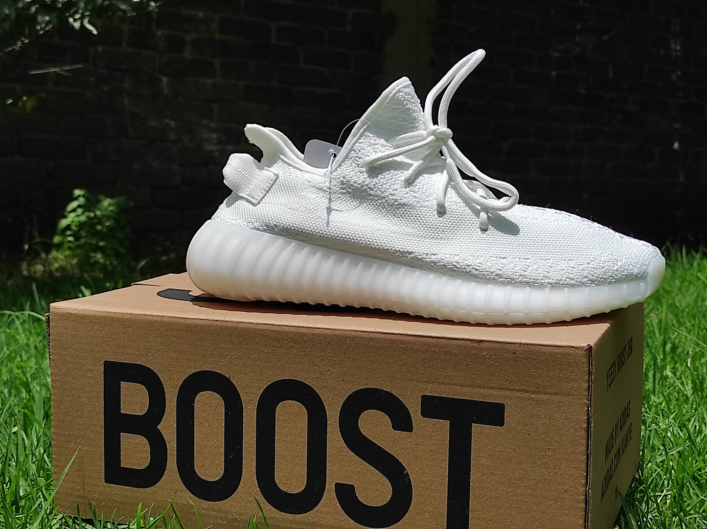 Yezzy boost 350