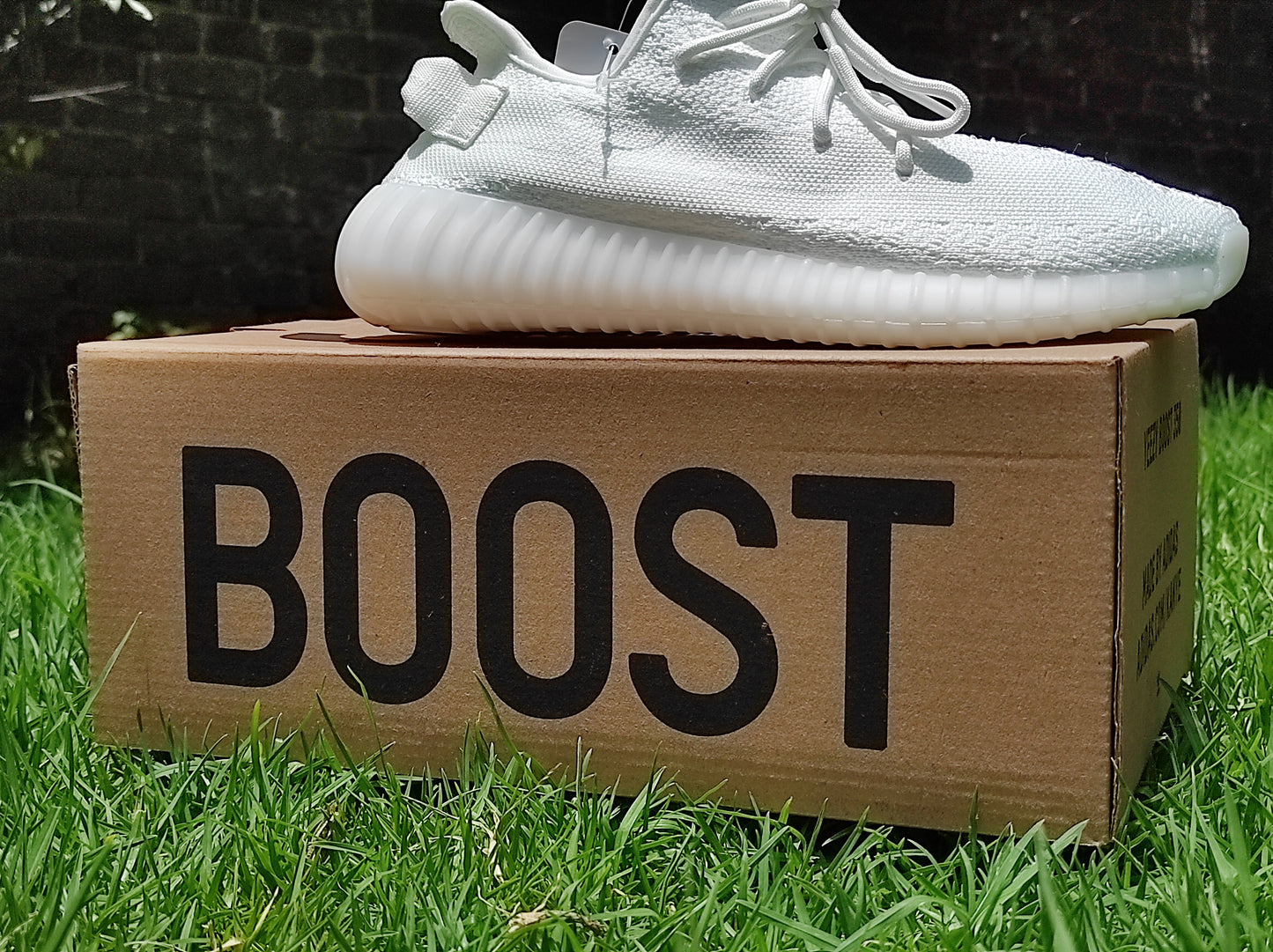 Yezzy boost 350