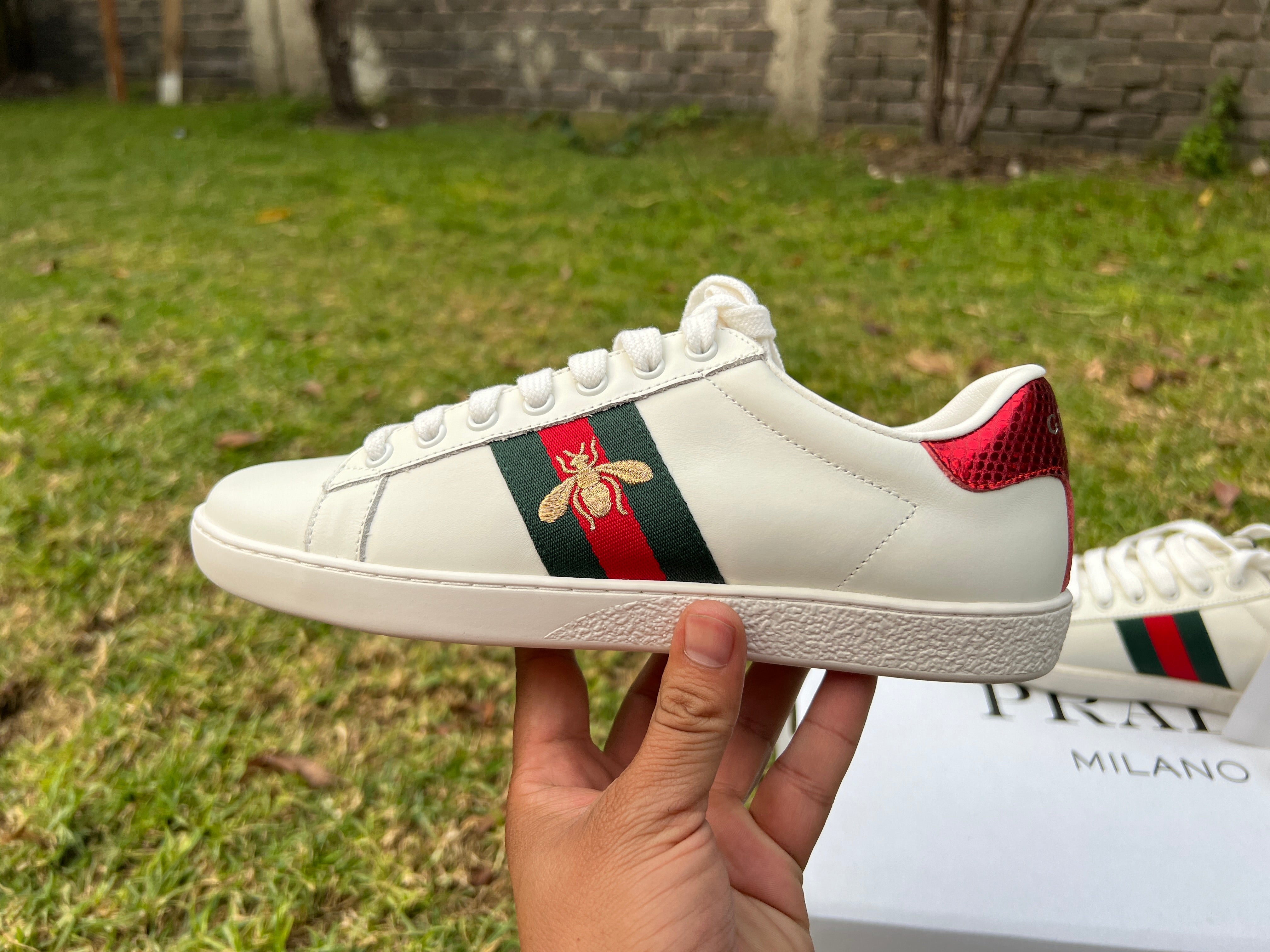 Tenis store inspired gucci