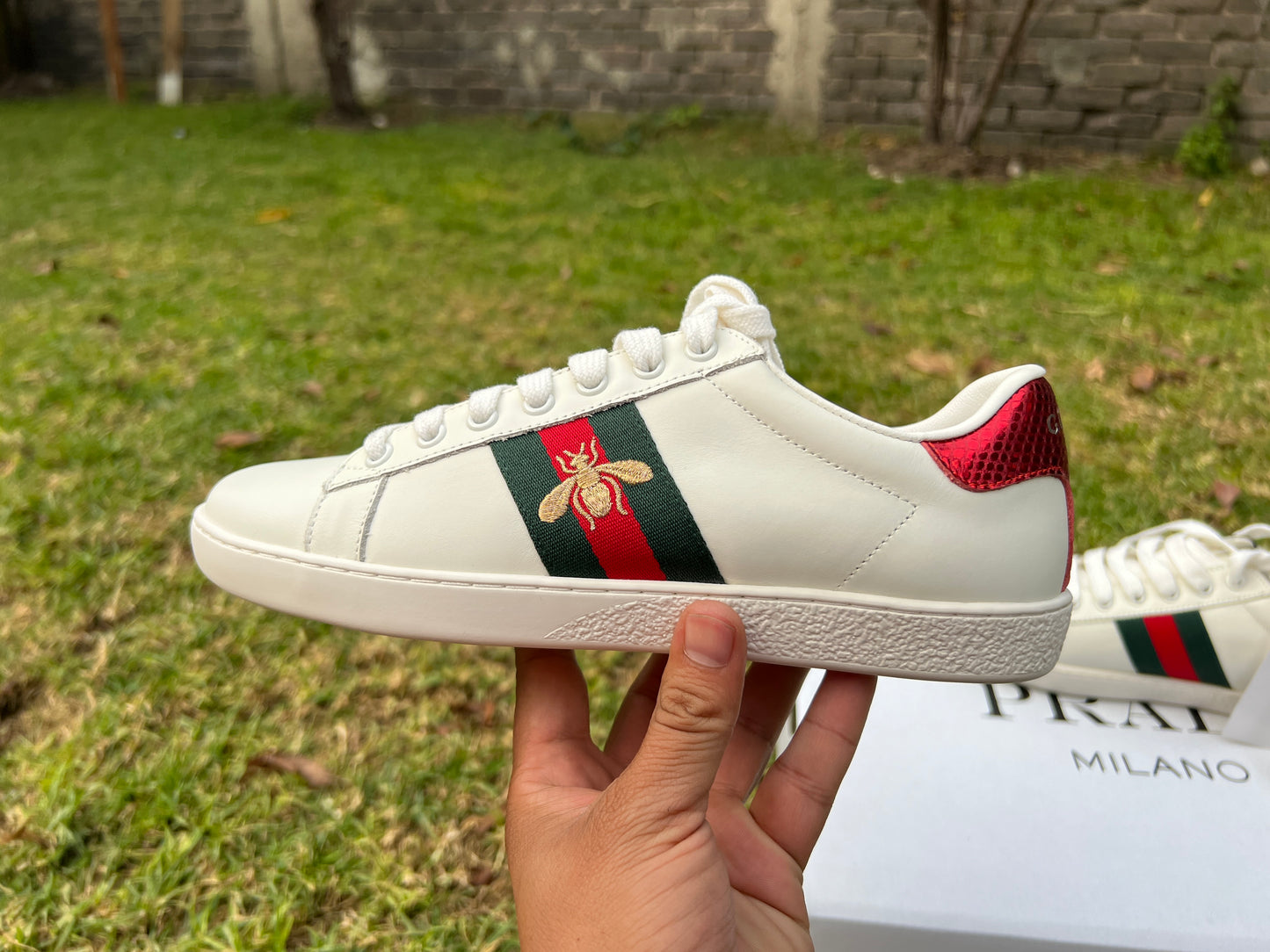 Gucci calidad G5