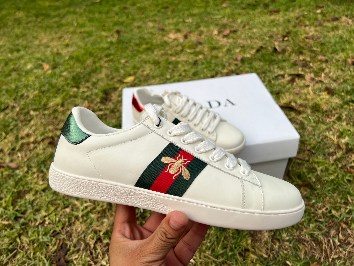 Gucci calidad G5