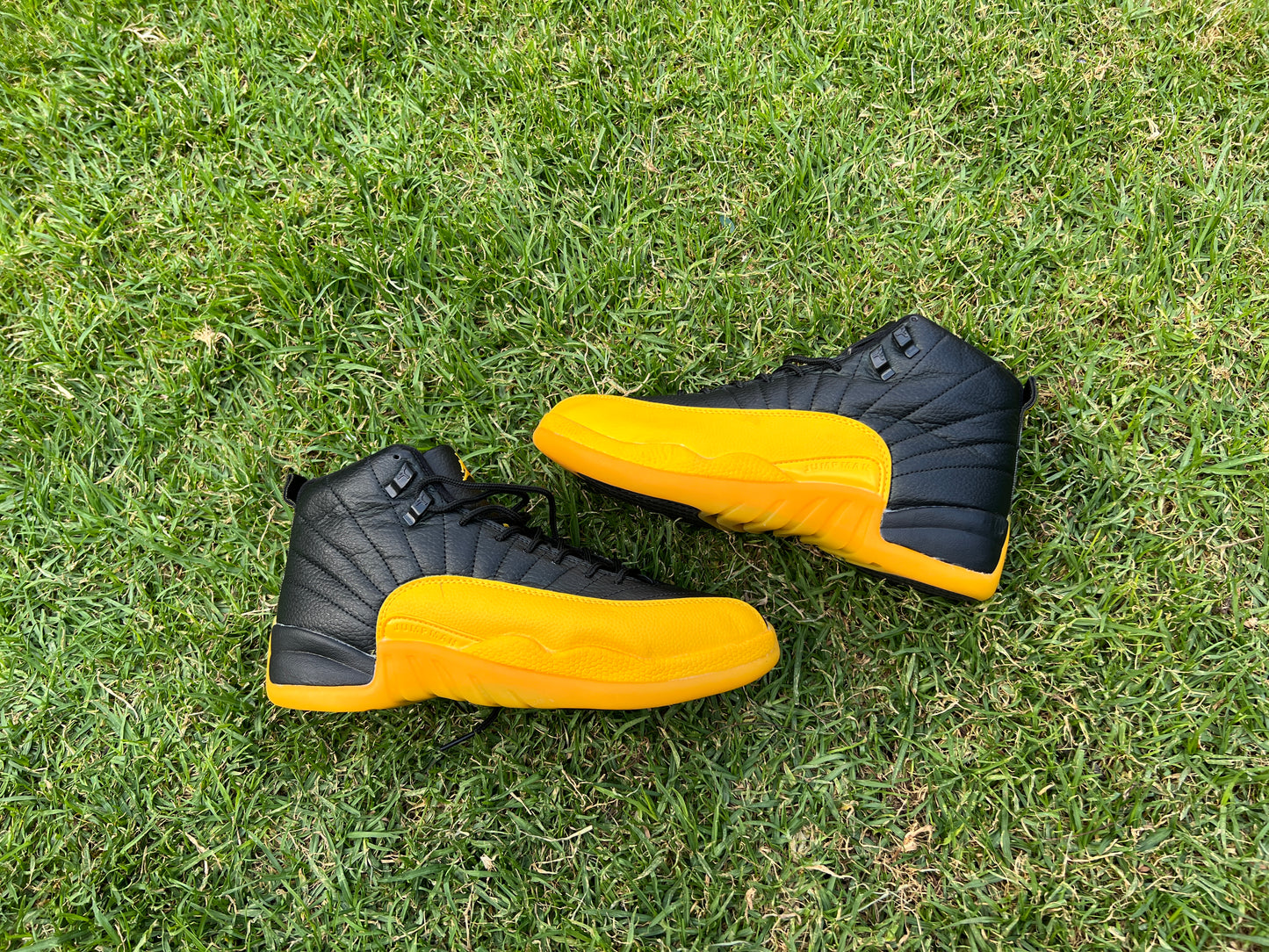 Jordan Retro 12 Amarillo