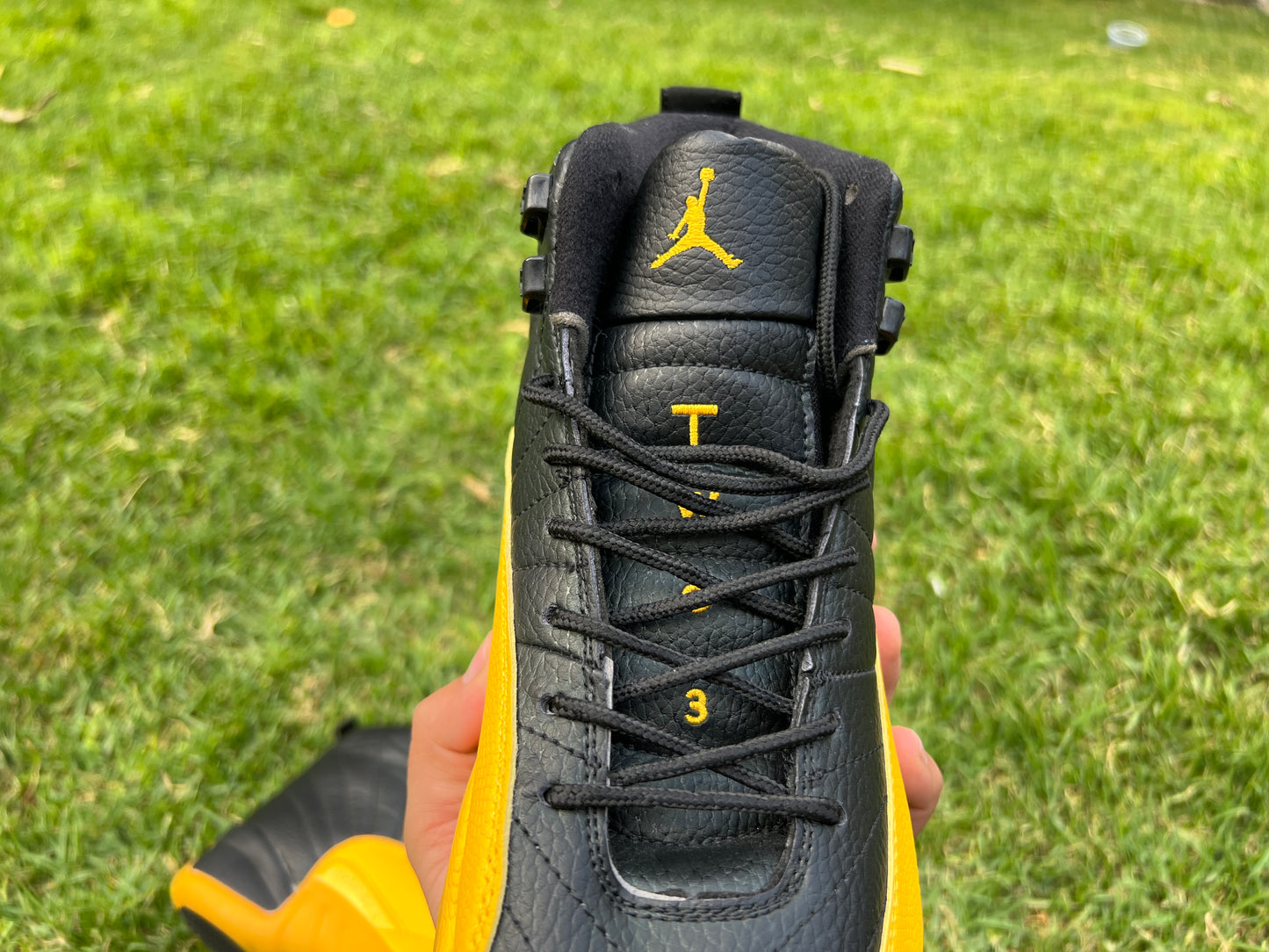 Jordan Retro 12 Amarillo