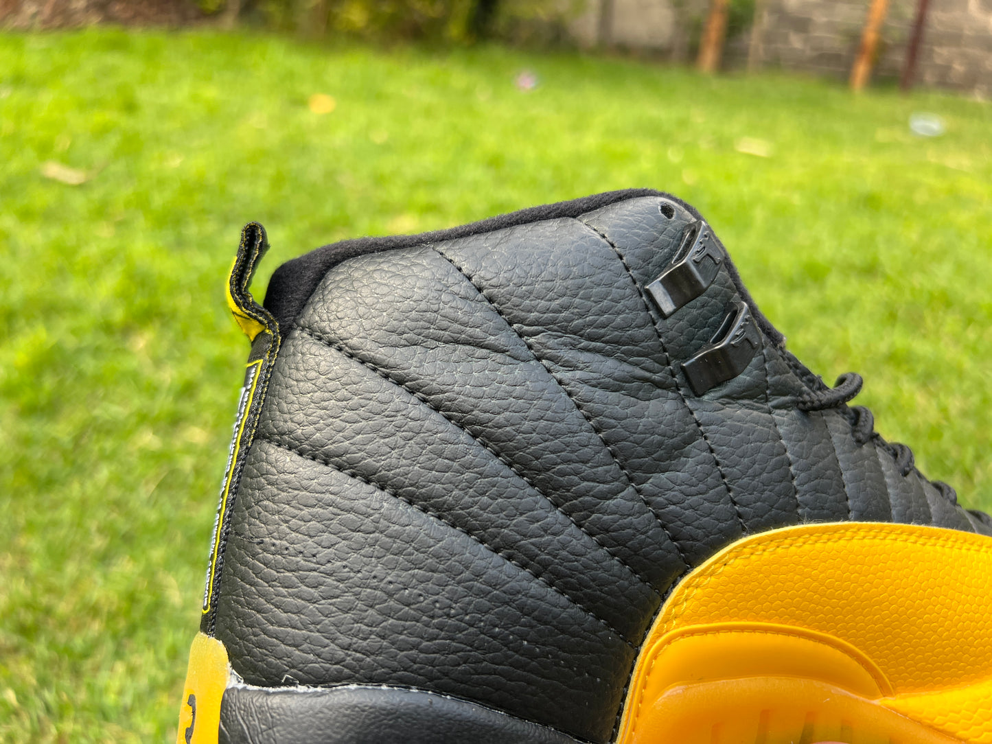 Jordan Retro 12 Amarillo