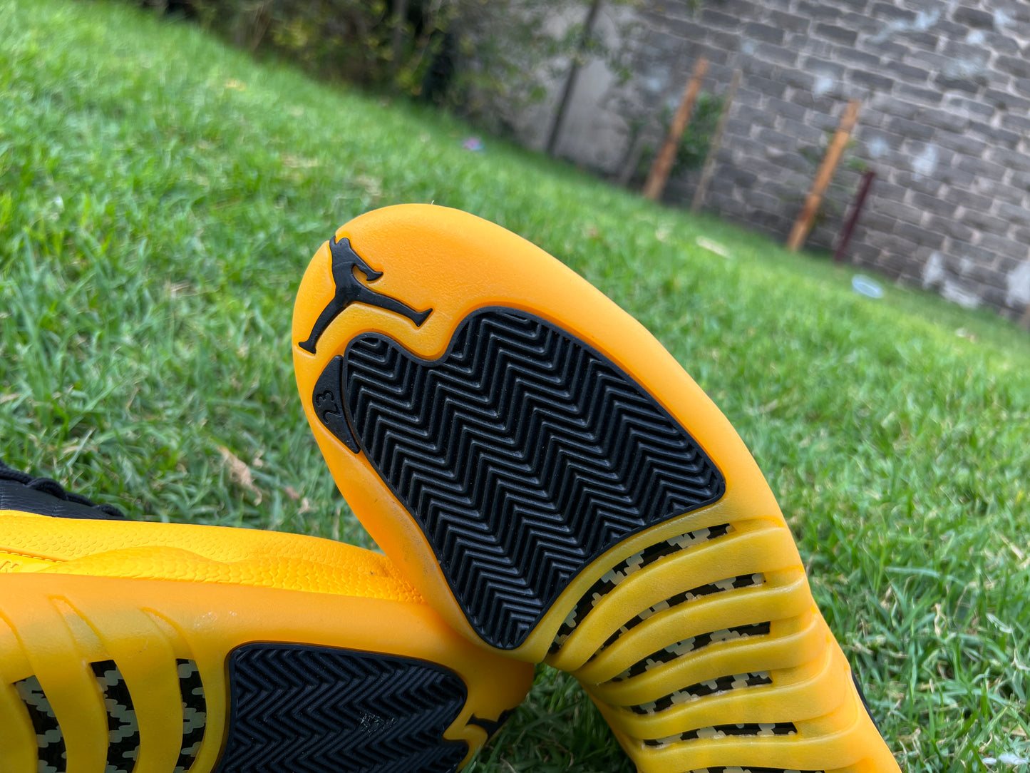 Jordan Retro 12 Amarillo