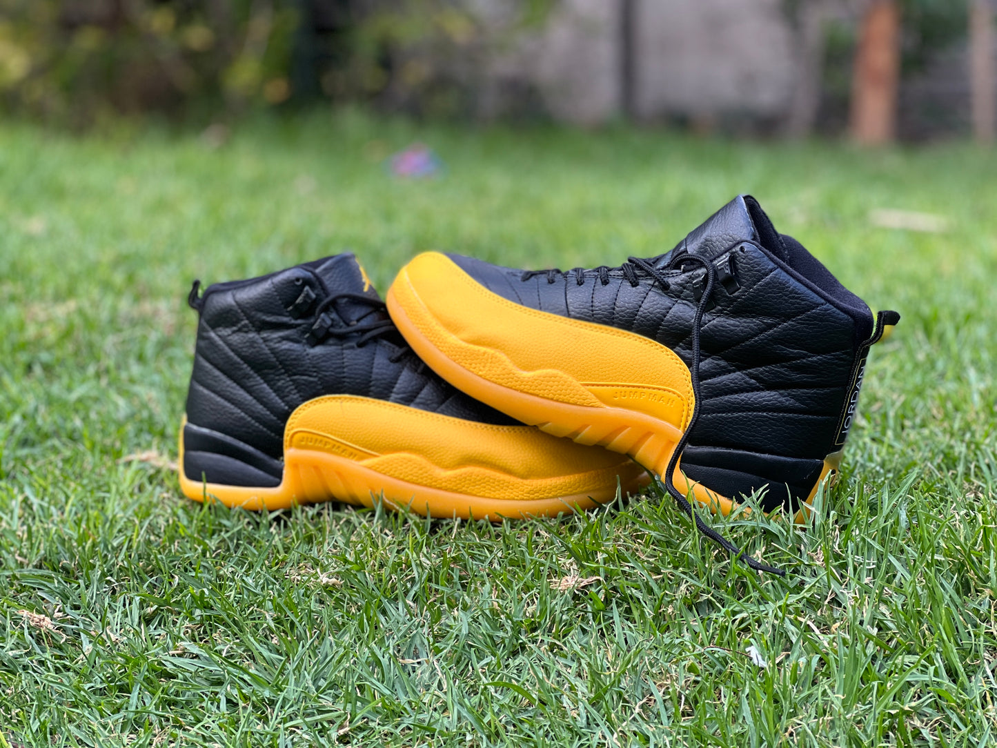 Jordan Retro 12 Amarillo