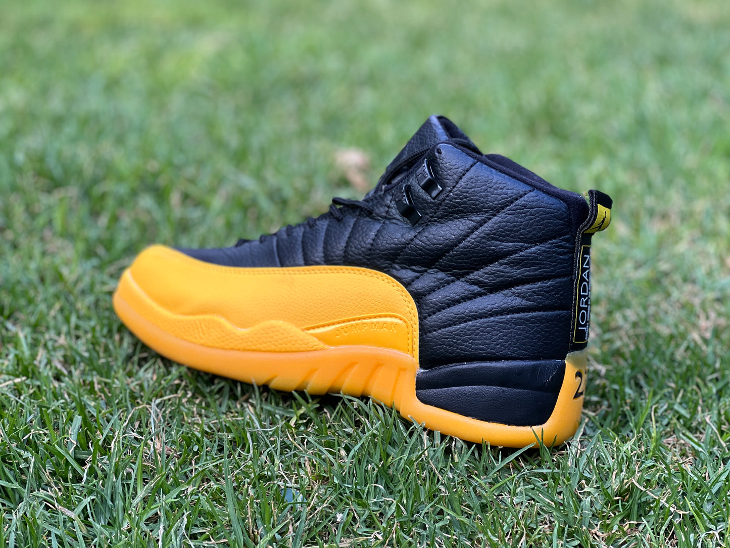 Jordan Retro 12 Amarillo